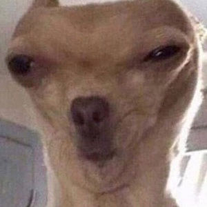 Meet your Posher, Luke